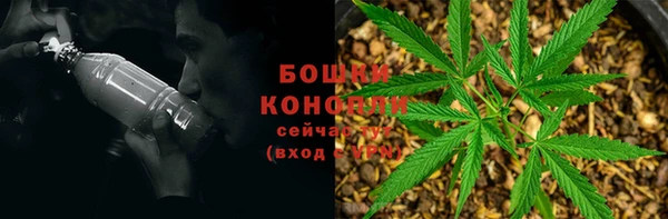 дурь Балахна