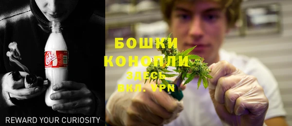 ПСИЛОЦИБИНОВЫЕ ГРИБЫ Баксан