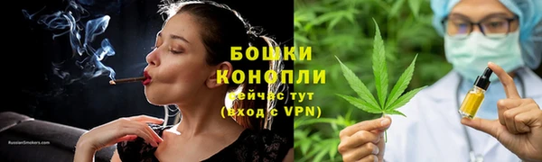 ПСИЛОЦИБИНОВЫЕ ГРИБЫ Баксан