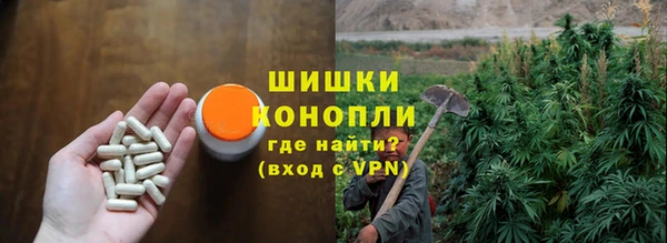сатива Арсеньев